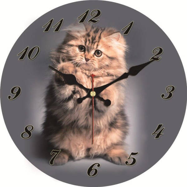 Reloj de pared redondo foto gatito